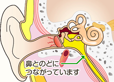 鼻 かんだ ら 耳 が 詰まっ た