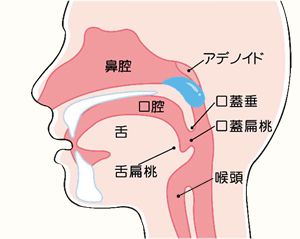 絡む 原因 痰